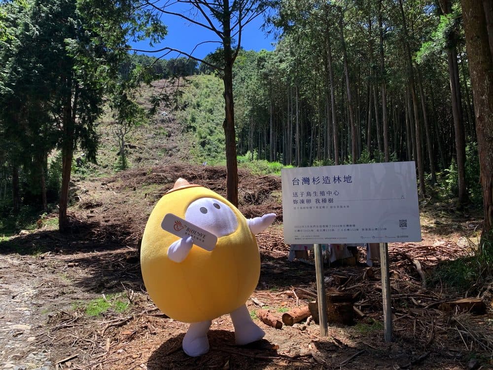 愛生育吉祥物於台灣杉造林地